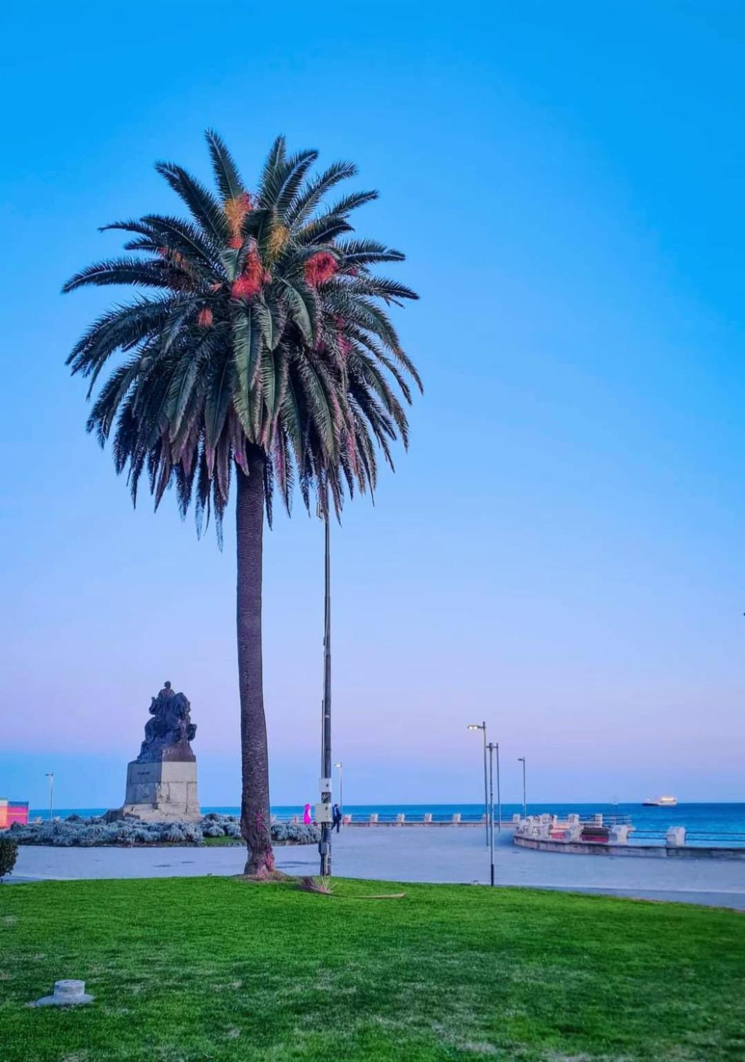 Tramonto Sul Mare - Sea Suite Savona Zewnętrze zdjęcie
